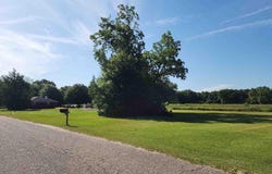 00 Mcrae St, Atmore, AL 36502