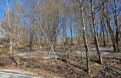 Sunset Avenue, Honesdale, PA 18431