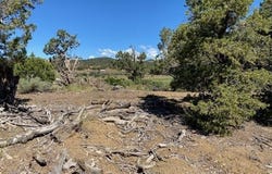23 Yarrow Court, Durango, CO 81301