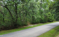 120 Bull Point Drive, Seabrook, SC 29940