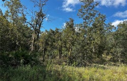 00 NE 115TH AVE, WILLISTON, FL 32696