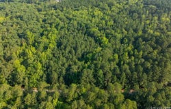 Lot 12-F Occaneechi Trail, Ebony, VA 23845