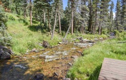 63 Upper Red River Valley Rd, Red River, NM 87558-0063