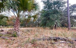200 WASHINGTON STREET, INTERLACHEN, FL 32148