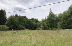 Cougar ST, Vernonia, OR 97064