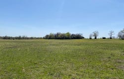 Tbd Pleasant Grove Road, Iola, TX 77861