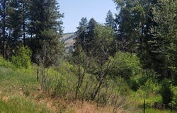 141 Lick Creek Road, Hamilton, MT 59840