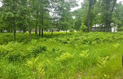 1879 Oak Road, Gladwin, MI 48624