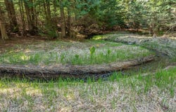 NNA Bottle Bay Rd, Sagle, ID 83860