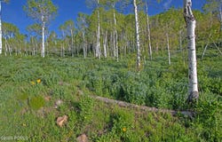 1986 Pine Meadow Drive, Coalville, UT 84017