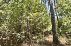 2 County Road 24, Enterprise, MS 39330