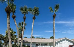 227 Ocean Palm Dr, Flagler Beach, FL 32136