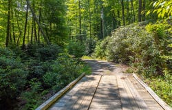 6736 Wayah Road, Franklin, NC 28734