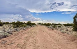 0 RD 7124, St. Johns, AZ 85936