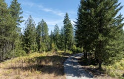Two River lot: 1, Priest River, ID 83856