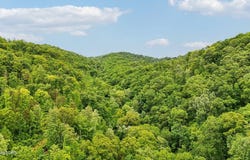 201 Birch Hollow Rd, Maynardville, TN 37807