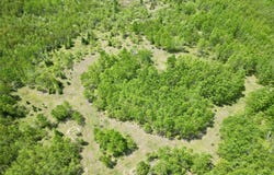 TBD CR 400, Perronville, MI 49807