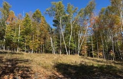 30 Mohican Trail, North Creek, NY 12811