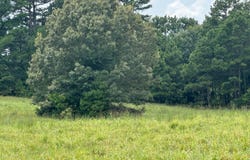 0000 woody pace rd, Antler, OK 74523