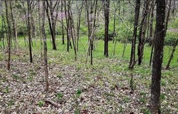 1500 Summit On Pond Lane, Wildwood, MO 63038