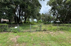 13920 HAYNES RD, DOVER, FL 33527
