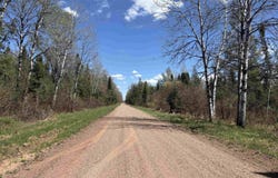 On Dunham, Marenisco, MI 49947-1111