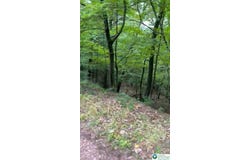 3018 Hickory Lane unit: 3018, Luzerne, PA 18655