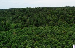 Tract 12 Cook Lane, Cromwell, KY 42333