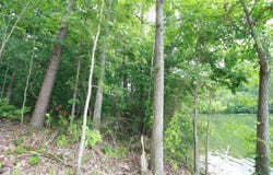 6625 Cape Haven Drive, Harrison, TN 37341