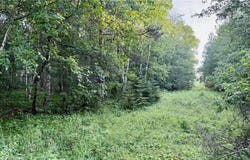 Tbd Holly Road, Park Rapids, MN 56470