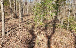 W Lakeshore Drive, Cherokee Village, AR 72529
