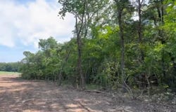 Lot 72 Spout Springs Road, Pottsboro, TX 75076
