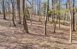 367 Alta Circle unit: 094-R, Hendersonville, NC 28739