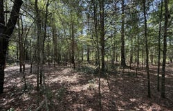 0 Fairway Lane, Hawkinsville, GA 31036