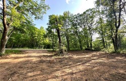 Lot 16,1.03+/- Acres 295th Street, Holcombe, WI 54745