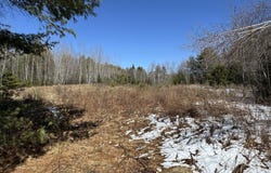 Bog Road lot: 21, Benton, ME 04901