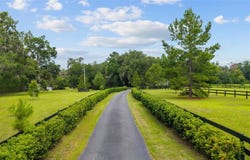 1393 NW 150TH AVENUE, OCALA, FL 34482