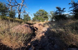 Fredonia, TX 76842