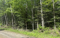 Curtis Farm Road lot: 7, Lincoln, ME 04457
