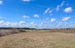 2340 SW COUNTY RD 351, Mayo, FL 32066