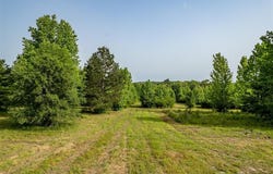 0 CR 345, Winona, TX 75792