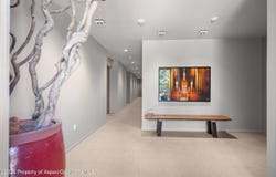202 Evans Road, Basalt, CO 81621