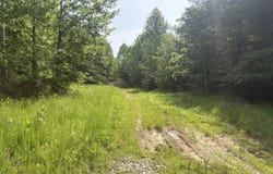 1298 Brier Fields Ln, Cloverport, KY 40111