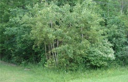 315 Morgan Terrace, Roaming Shores, OH 44084