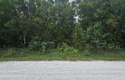 17665 46th Court N, The Acreage, FL 33470