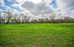 1001 Preserve Street, Weatherford, TX 76085