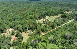 5712 E 24th Street, Chase, MI 49623