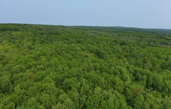 000 Lynch Rd, Newport, NY 13416