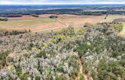Mile Bridge Road, Johnston, SC 29832