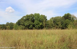 5 Star Landing Road, Nesbit, MS 38651